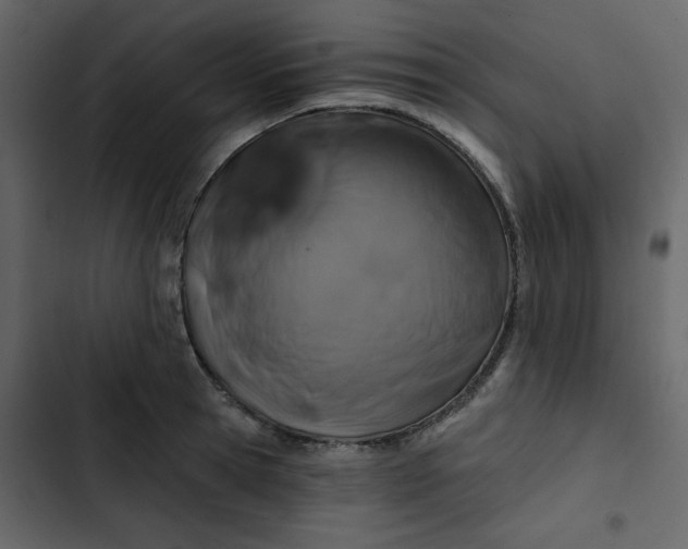 X0000102820945200809021247
