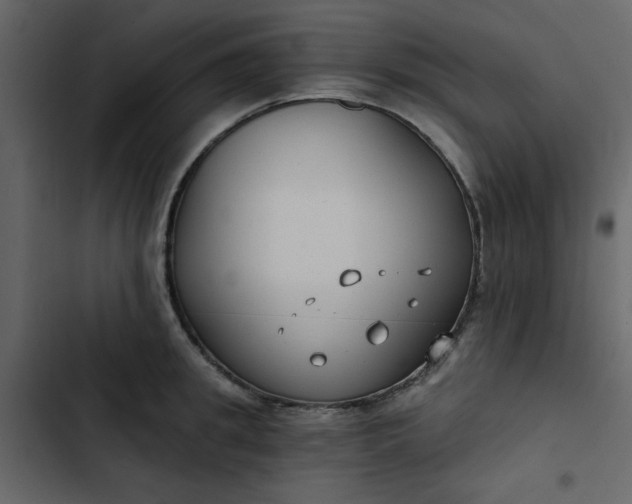 X0000102820949200809021247