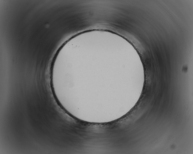X0000102820950200809021247