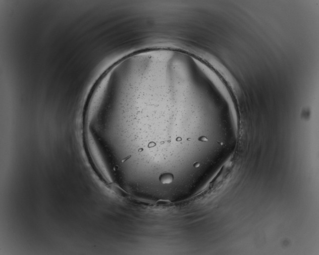 X0000102820951200809021247