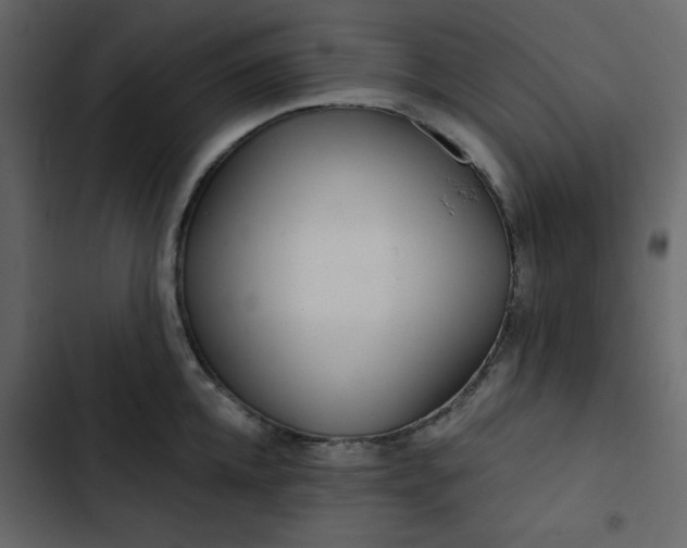 X0000102820952200809021247