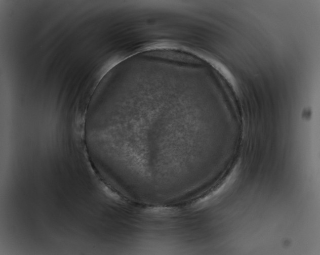 X0000102820953200809021247