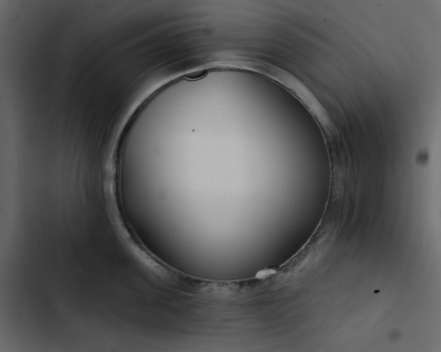X0000102820955200809021247