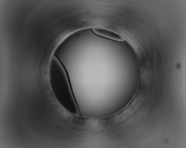 X0000102820956200809021247
