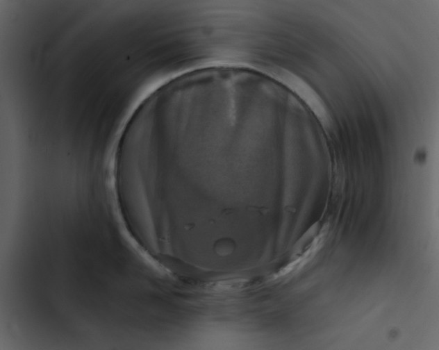 X0000102820958200809021247
