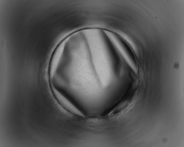 X0000102820959200809021247