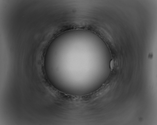 X0000102820961200809021247