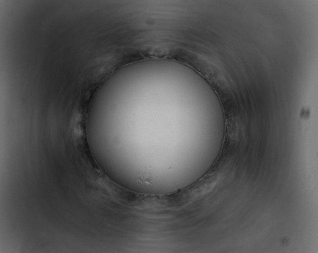 X0000102820962200809021247
