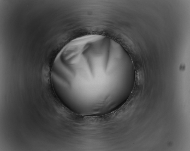 X0000102820963200809021247