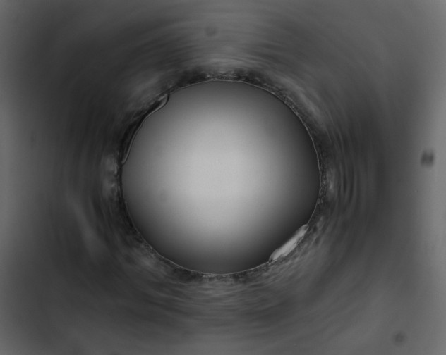 X0000102820964200809021246