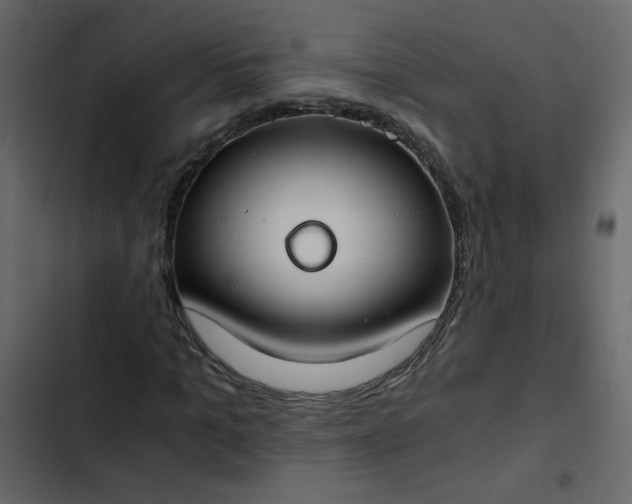 X0000102820965200809021246