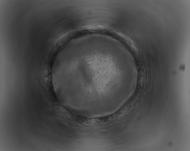 X0000102820966200809021246