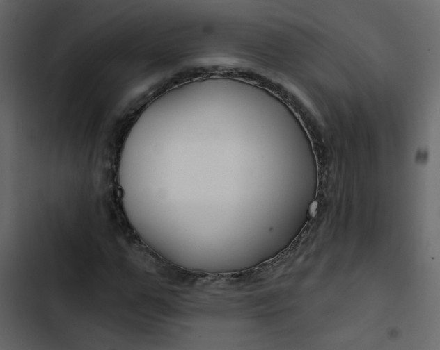 X0000102820967200809021246