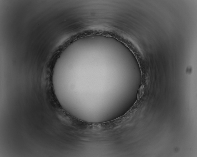 X0000102820968200809021246