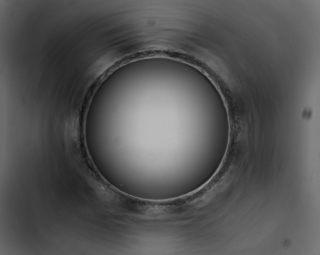 X0000102820969200809021246