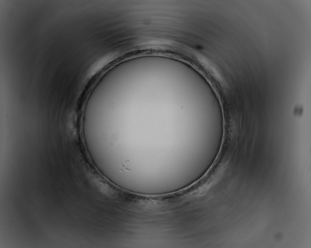 X0000102820970200809021246