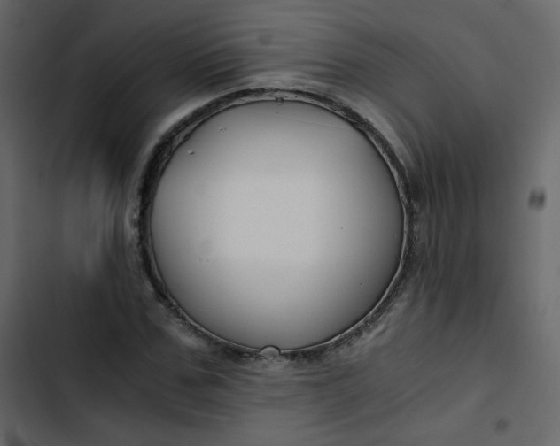 X0000102820971200809021246