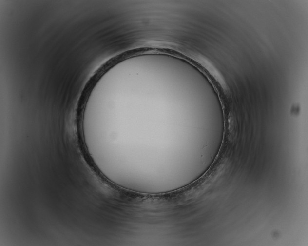X0000102820972200809021246