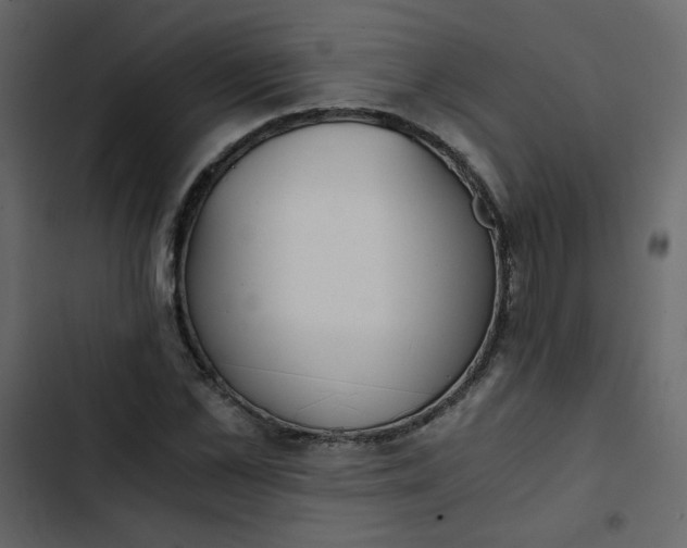 X0000102820973200809021246
