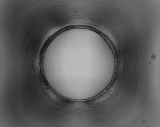 X0000102820974200809021246