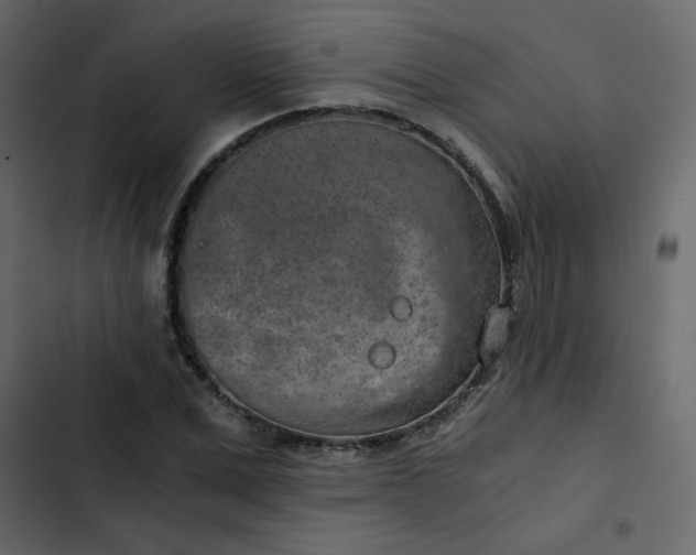 X0000102820975200809021246