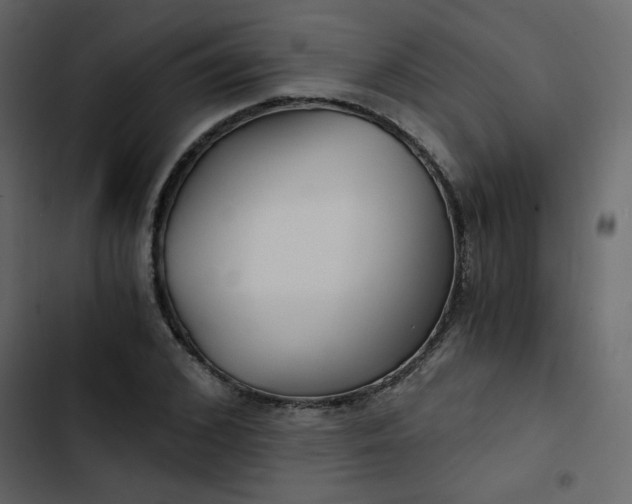 X0000102820976200809021246