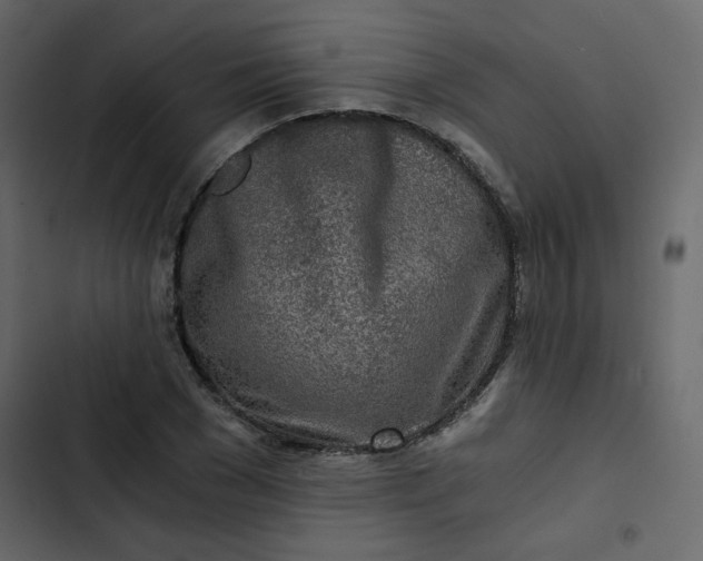 X0000102820977200809021246