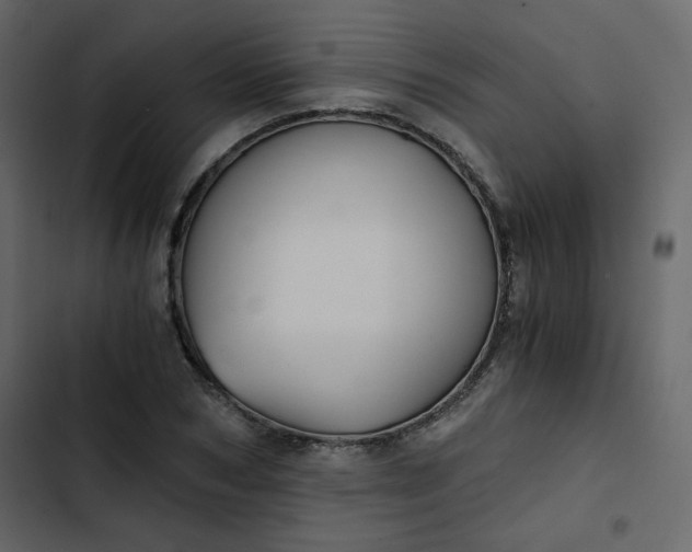 X0000102820978200809021246