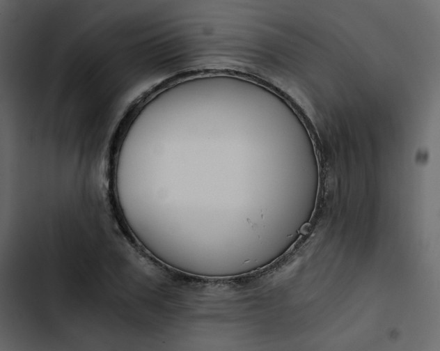 X0000102820979200809021246