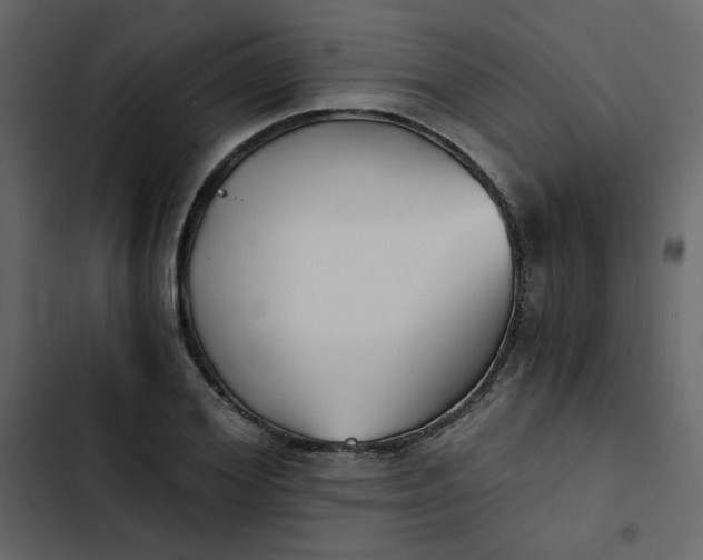 X0000102820980200809021246
