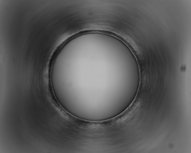 X0000102820982200809021246