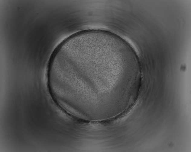 X0000102820983200809021246