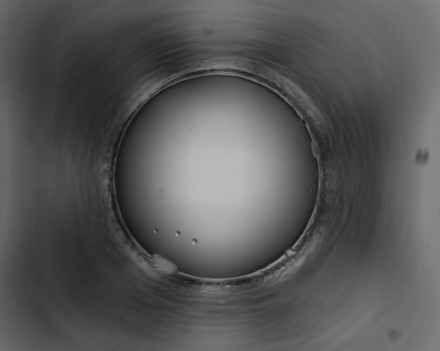 X0000102820985200809021246