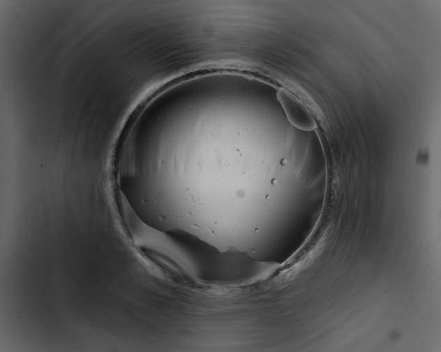 X0000102820989200809021246