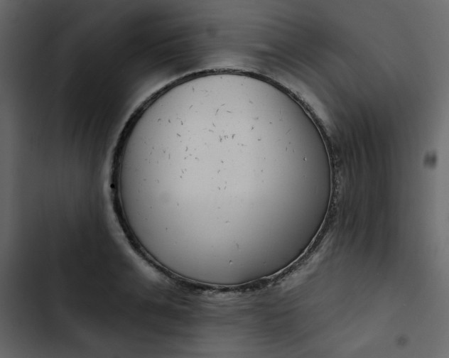 X0000102820991200809021246