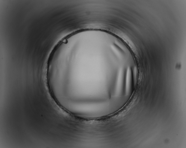 X0000102820992200809021246