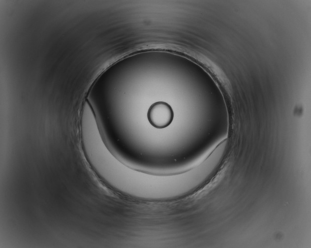 X0000102820993200809021246