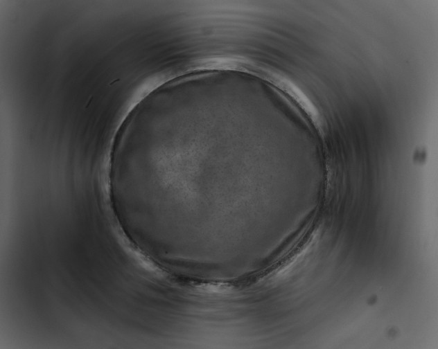 X0000102820994200809021246