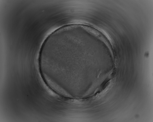 X0000102820995200809021246