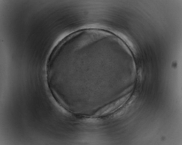 X0000102820998200809021246
