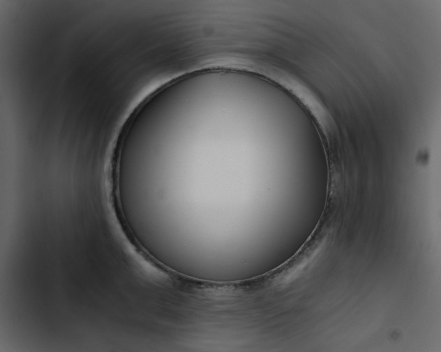 X0000102820999200809021246