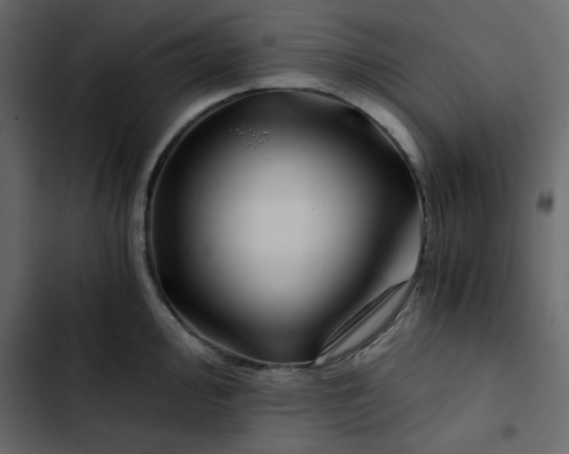 X0000102821000200809021246
