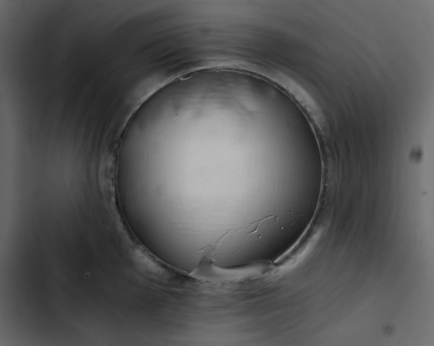 X0000102821001200809021246