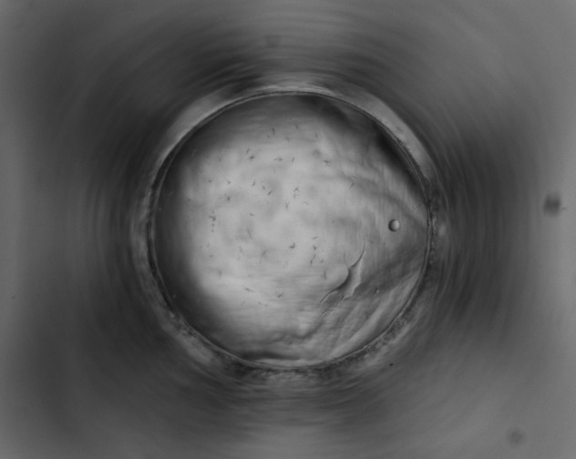 X0000102821002200809021246