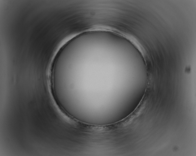 X0000102821003200809021246