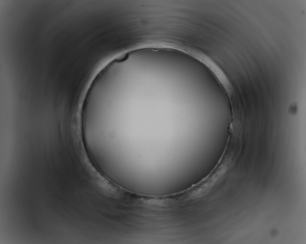 X0000102821004200809021246