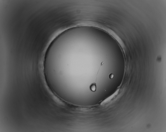 X0000102821005200809021246
