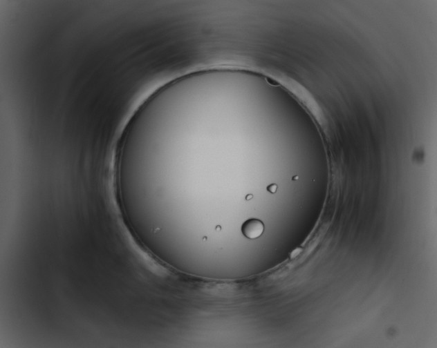 X0000102821006200809021246