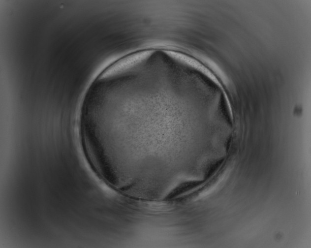 X0000102821007200809021246