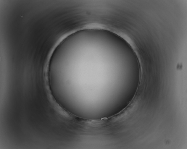 X0000102821008200809021246